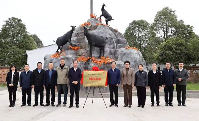 1711508279711946.jpg 圖5.jpg