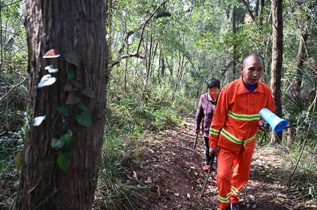 圖1 3月28日，夏開(kāi)桂和田明容在林區(qū)巡邏。.jpg