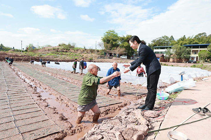 2仁壽農(nóng)商銀行深入田間地頭，助力“天府糧倉”建設.jpg