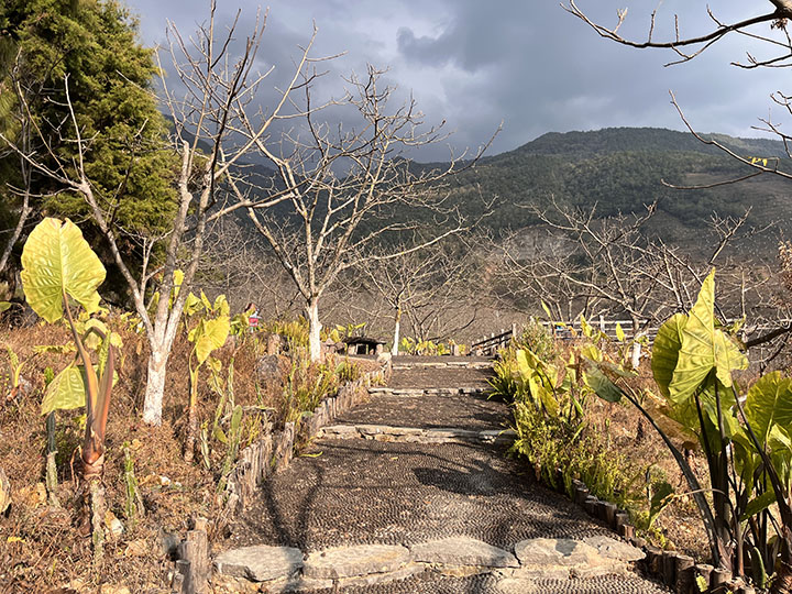 5　云上村莊打造的健康步道.jpg