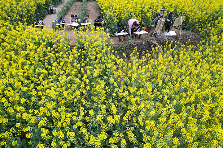 1710139107723736.jpg 圖1.jpg