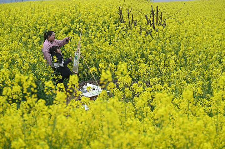 1710139118166214.jpg 圖4.jpg