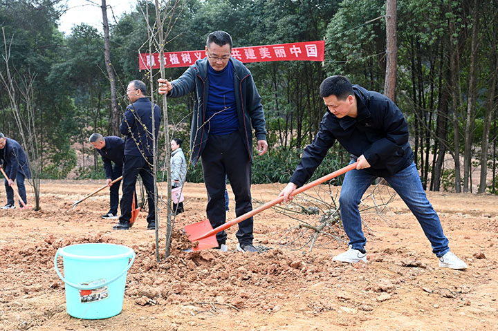 1710232367717986.jpg 圖2.jpg