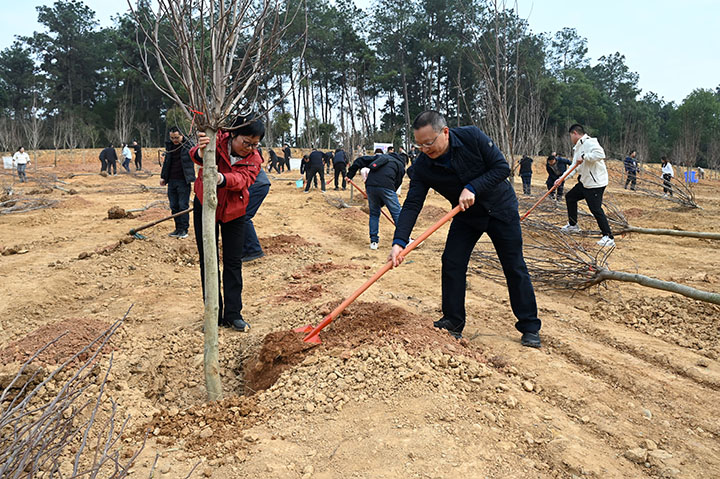 1710232370873381.jpg 圖3.jpg