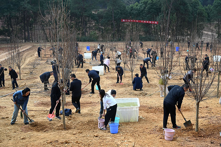 1710232373869364.jpg 圖4.jpg