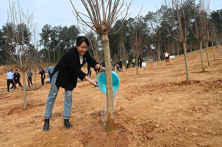 1710232376240436.jpg 圖5.jpg