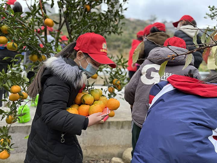 1710483713512599.jpg 圖3 學(xué)生豐收水果.jpg