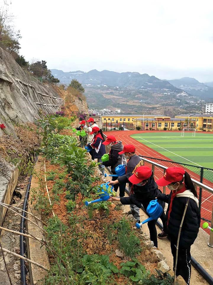 1710483723785256.jpg 圖6 學(xué)生在開(kāi)展勞動(dòng)實(shí)踐.jpg