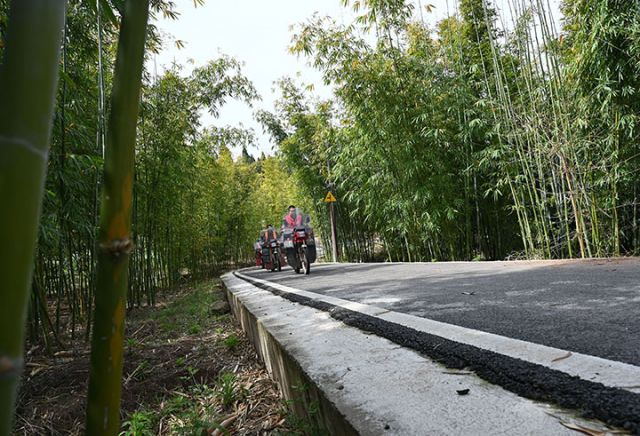 圖2  3月29日，內(nèi)江市東興區(qū)高梁鎮(zhèn)八仙橋村，摩托車巡防隊(duì)加強(qiáng)林間巡邏，護(hù)航森林安全。.jpg