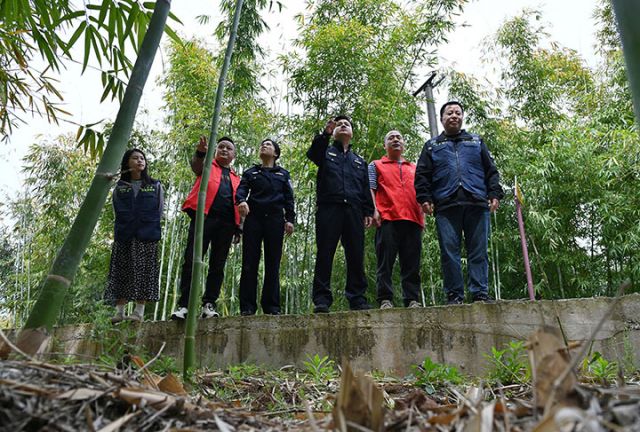 圖7  工作人員在林間了解防火情況.jpg