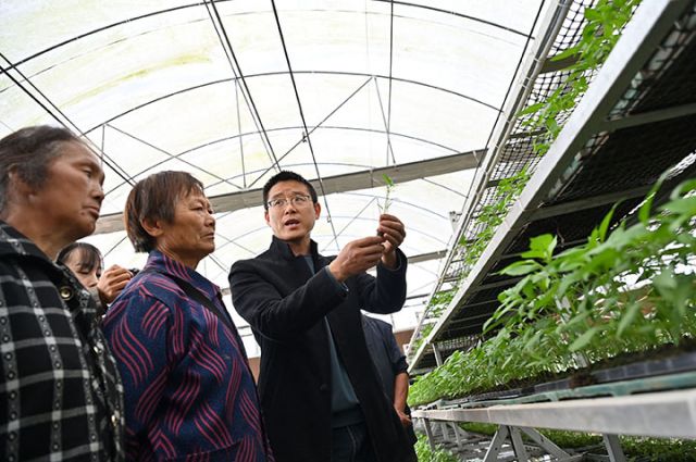 圖2  4月1日，內(nèi)江市東興區(qū)田家鎮(zhèn)趙家壩社區(qū)育秧中心，科技人員對辣椒種植戶進(jìn)行技術(shù)培訓(xùn)。.jpg