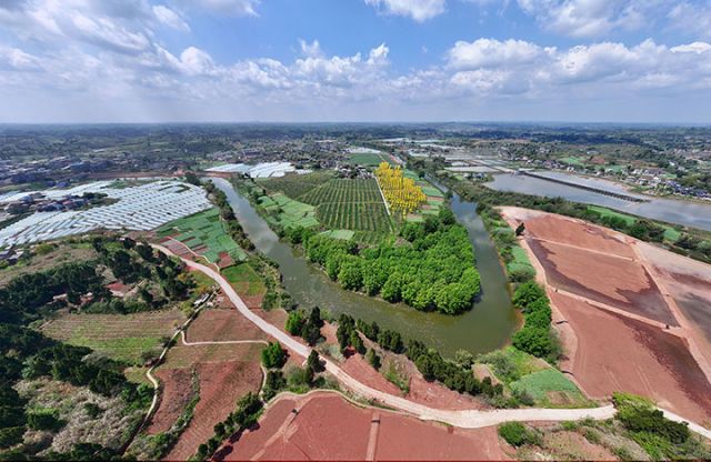 圖1  4月2日，內江市東興區(qū)石子鎮(zhèn)太和村，金黃的黃花風鈴木在春日的暖陽下熠熠生輝，與周邊農田、村莊共同構成了美麗的鄉(xiāng)村畫卷（無人機照片）。.jpg