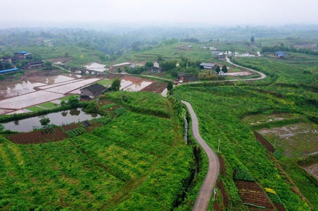 圖2  4月13日，廣安區(qū)龍臺鎮(zhèn)墟觀村渠道整治后的稻田里蓄水情況較好。（無人機(jī)拍攝）.jpg