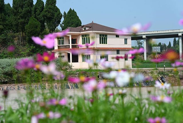 圖3  小祠堂大院在春日格?；ǖ挠骋r下顯得格外美麗.jpg