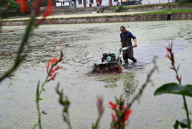 圖5  農(nóng)民忙著整地.jpg