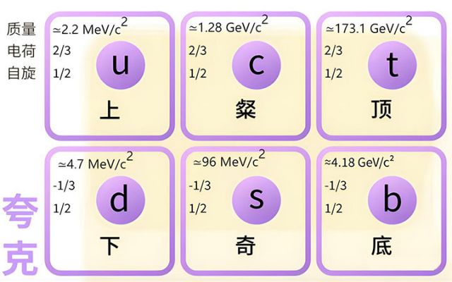 1713928581880694.jpg 13.jpg