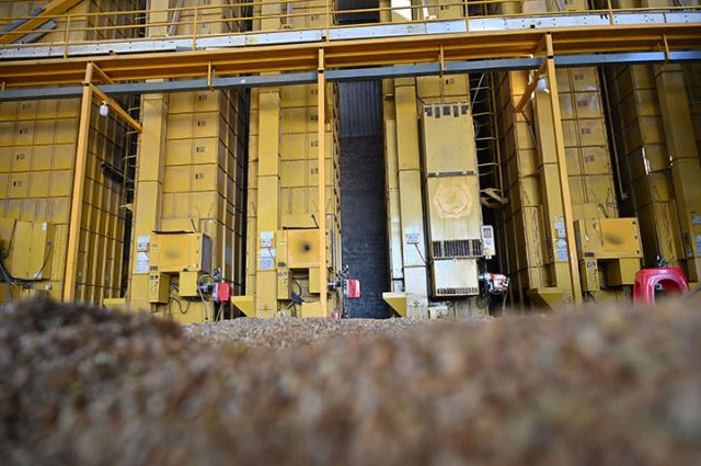 圖4  4月26日，內(nèi)江市東興區(qū)石子鎮(zhèn)農(nóng)事中心，當(dāng)?shù)乩孟冗M(jìn)設(shè)備全程自動(dòng)化烘干小麥。.jpg