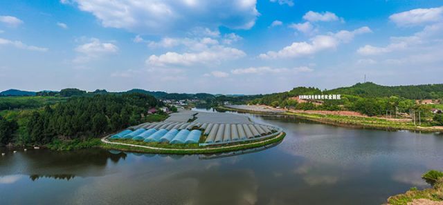 1714273683849031.jpg 圖2 陽化河.jpg