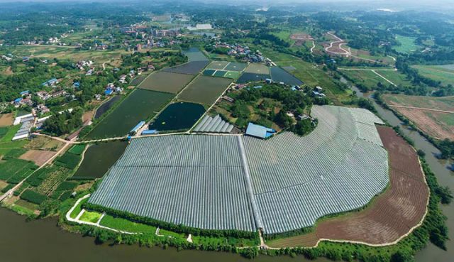 1714273686964607.jpg 圖3 紅旗社區(qū)尾水濕地.jpg