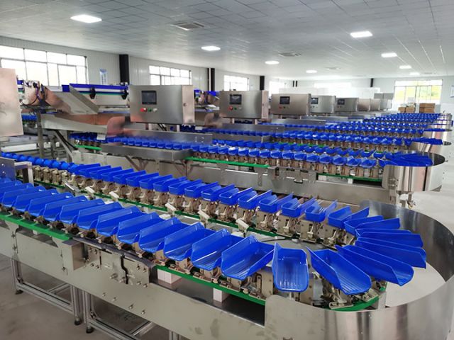 1715240174525034.jpg 圖2 川渝龍蝦集散中心自動(dòng)分揀設(shè)備.jpg