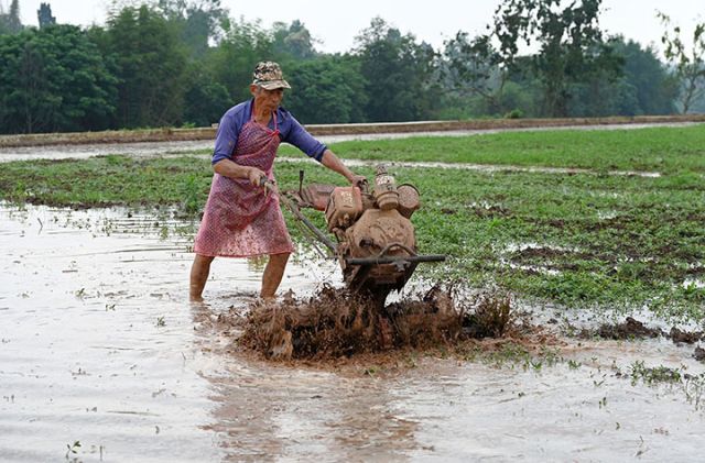 圖4  村民用旋耕機(jī)整地耕田.jpg