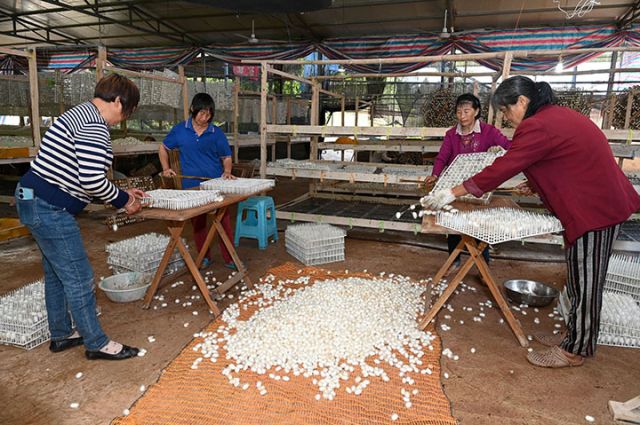 1715755689510164.jpg 圖2.jpg