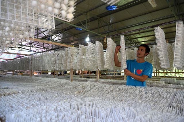 1715755691700578.jpg 圖3.jpg