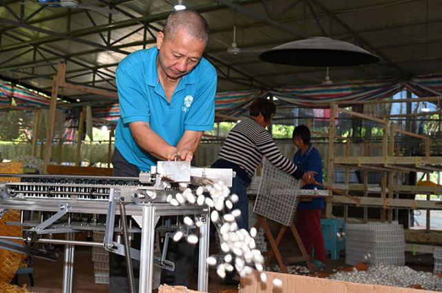 1715755694262757.jpg 圖4.jpg