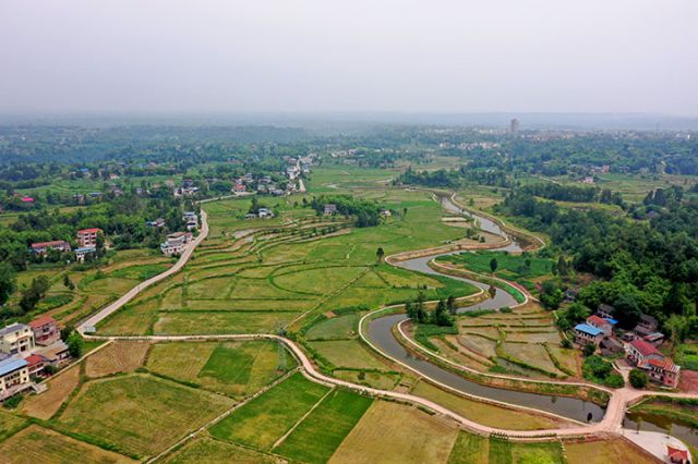 圖3  恒升鎮(zhèn)龍橋村高標(biāo)準(zhǔn)農(nóng)田里，茁壯成長的秧苗開始生根泛青，與村莊、水渠、遠(yuǎn)山構(gòu)成一幅美麗的鄉(xiāng)村振興畫卷。.jpg