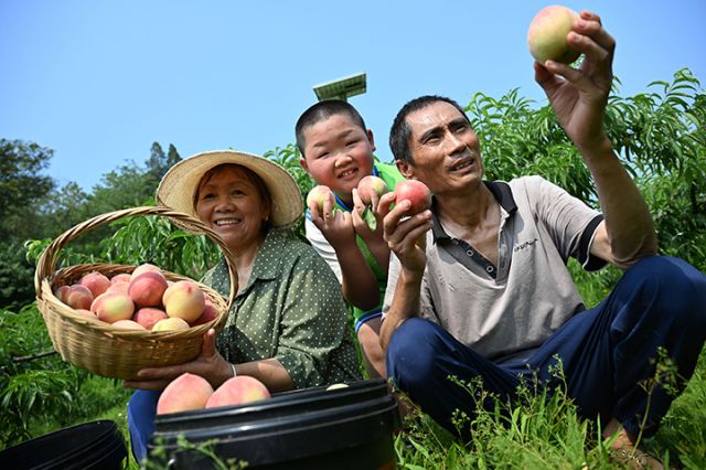 圖2  當(dāng)?shù)剞r(nóng)民正在高興地展示“豐收果”.jpg