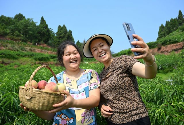 圖3  當(dāng)?shù)剞r(nóng)民為電商銷售拍攝圖片資料.jpg