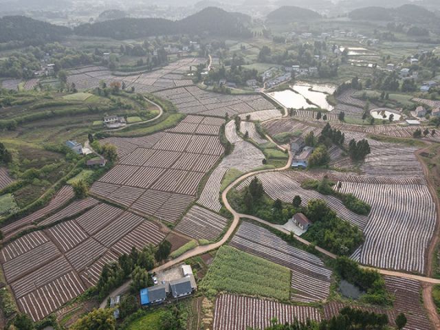 1716889128507085.jpg 01 五香廟村產(chǎn)業(yè)基地航拍.jpg