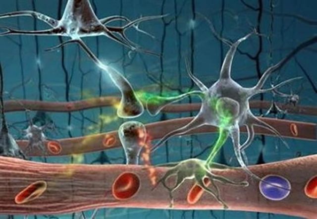 1716951888159280.jpg 圖片7.jpg