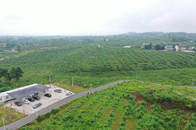 圖5  彭家鄉(xiāng)李子產(chǎn)業(yè)園.png