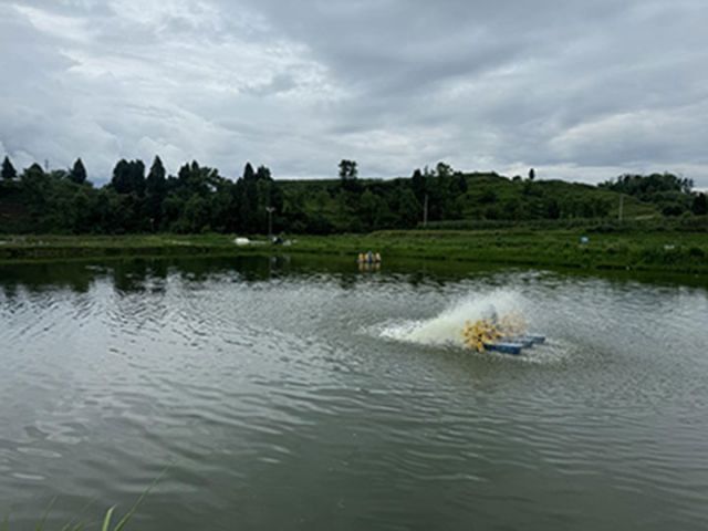 1719214799124007.jpg 圖1.jpg