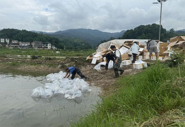 1719214896721617.jpg 圖2.jpg