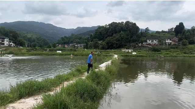 1719214949498708.jpg 圖3.jpg