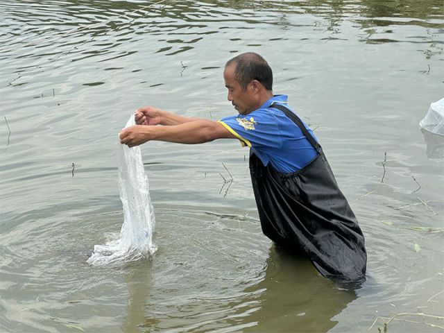 1719214961587891.jpg 圖4.jpg