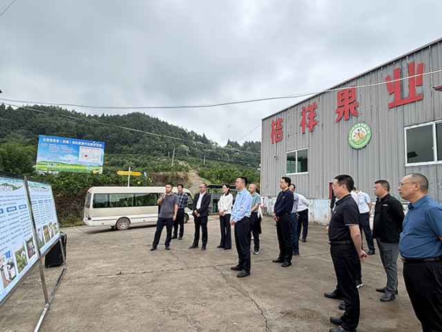 1719300705673500.png 圖3 川渝六區(qū)縣人大調(diào)研組到龍門鎮(zhèn)農(nóng)科村調(diào)研水肥一體化運(yùn)行情況.png