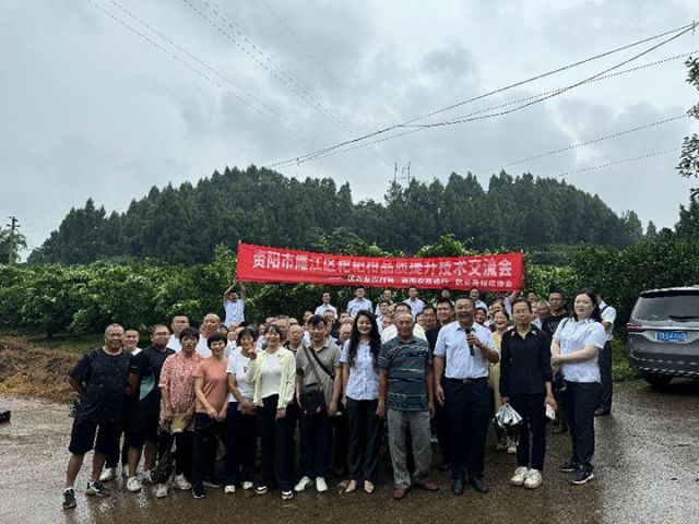 1在寶臺鎮(zhèn)滴水村舉行耙耙柑品質(zhì)提升技術(shù)交流會.jpg