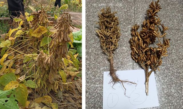 1720424090365420.jpg 圖3.jpg