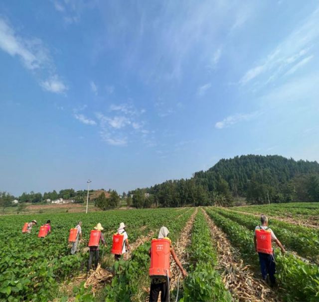 1720424188195813.jpg 圖8及時防控.jpg