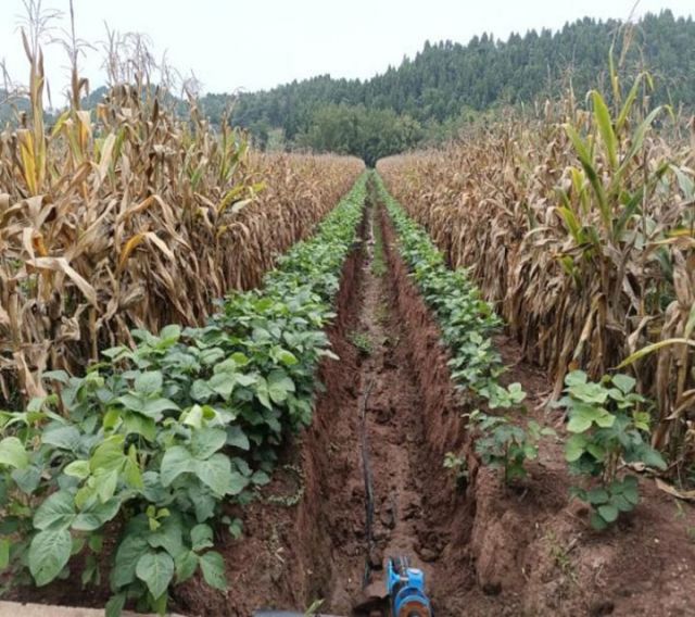 1720424208289364.jpg 圖9 排水設(shè)施.jpg