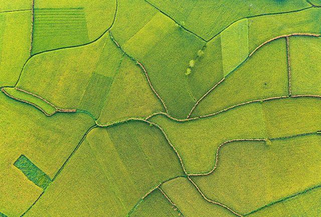 1721012332352789.jpg 微信圖片_20240715104556.jpg