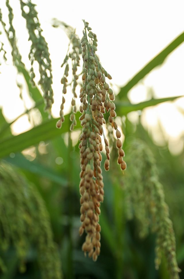 1721012355974843.jpg 微信圖片_20240715104603.jpg