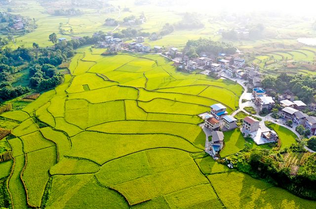 1721012368264137.jpg 微信圖片_20240715104553.jpg