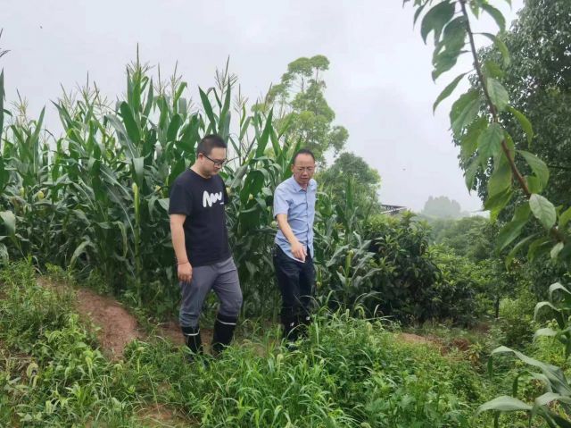 1721180768998548.jpg 微信圖片_20240717093655.jpg