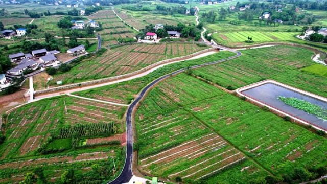 1721292100805790.jpg 圖4.jpg