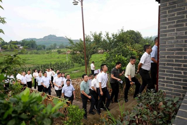 1721292117797443.jpg 圖5.jpg