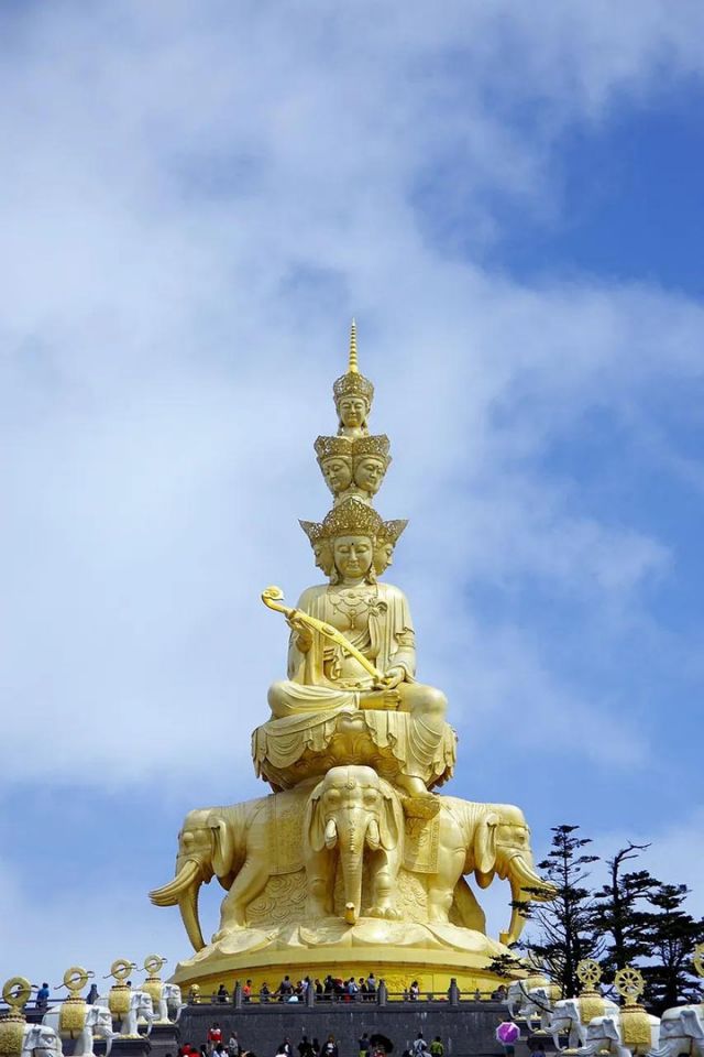 1723625200416872.jpg 圖片4.jpg